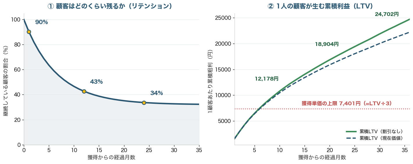 左にリテンション（継続率）の減衰カーブ、右に累積LTVが12ヶ月で約1.2万円、24ヶ月で約1.9万円、36ヶ月で約2.5万円に育つカーブ
